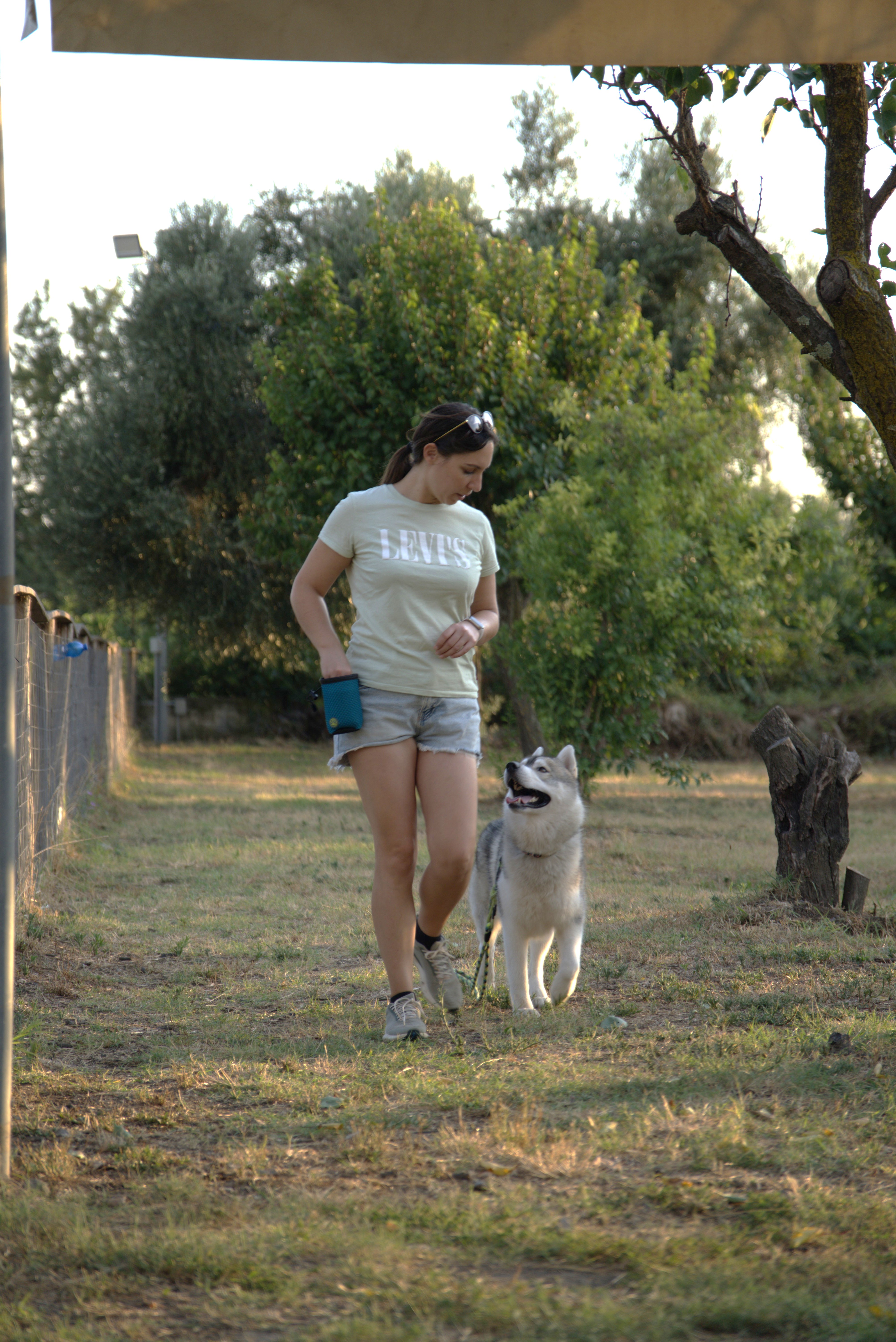 Educatrice cinofila a Caserta, Alessandra Mautone, con il suo cane Kori in una sessione di educazione