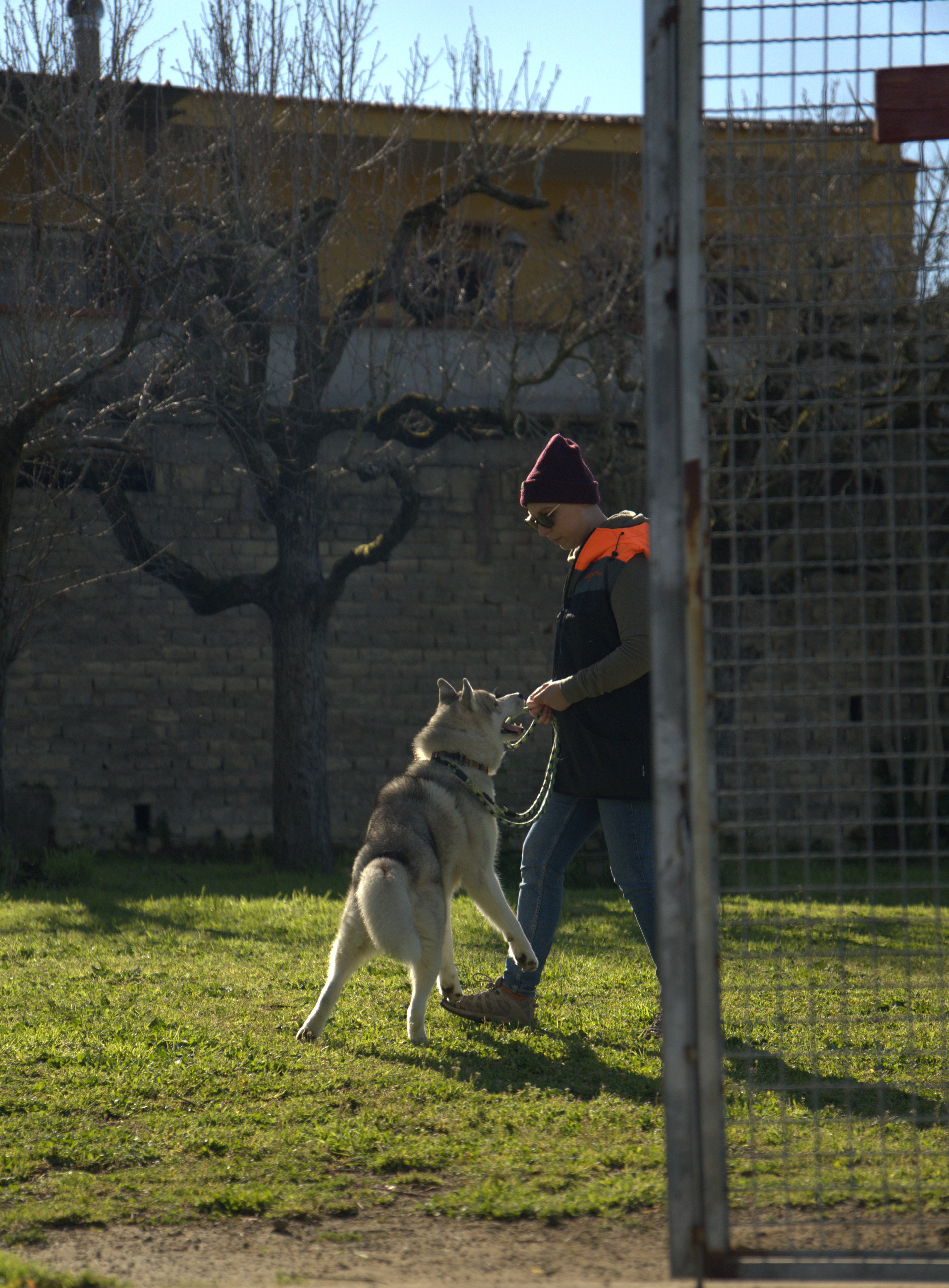 Educatore cinofilo a Caserta: Alessandra Mautone lavora con il cane Kori durante un percorso di educazione